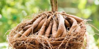 जानिए, भारत की जमीन के साथ और किस चीज़ पर है चीन की नजर…