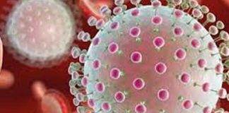 कहीं निपा, तो कहीं जीका…जानिए कितना बड़ा खतरा हैं ये वायरस..?